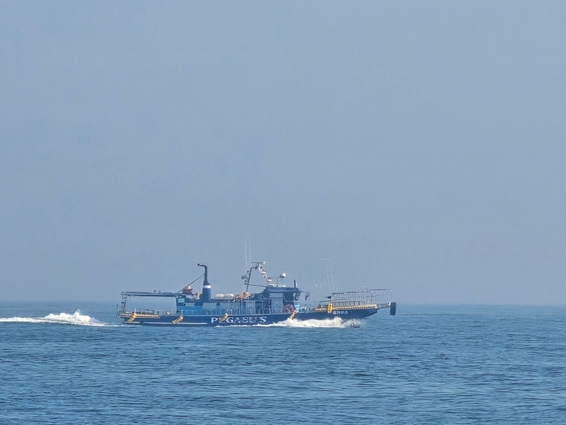 무창포 페가수스호의 조황일지 이미지 - 2