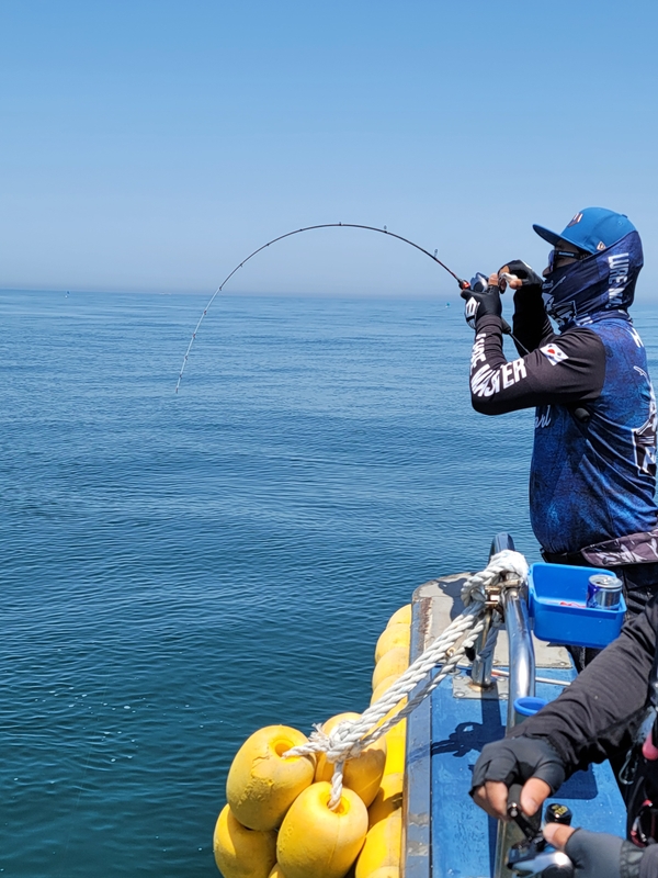 무창포 페가수스호의 조황일지 이미지 - 5