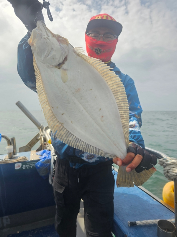 무창포 페가수스호의 조황일지 이미지 - 9