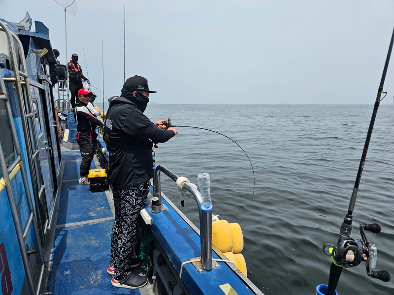 무창포 페가수스호의 조황일지 이미지 - 8