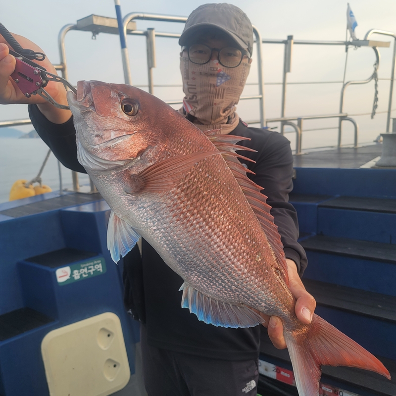 무창포 페가수스호의 조황일지 이미지 - 4