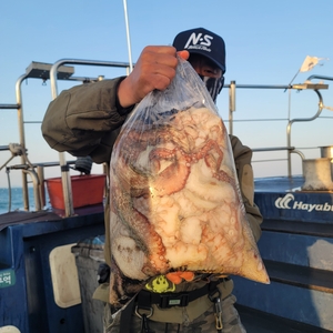 10월30일 무창포 페가수스호 문어 조황 선상낚시로 잡은 물고기 조황