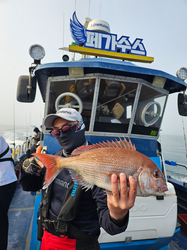무창포 페가수스호의 조황일지 이미지 - 3