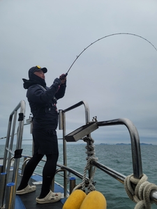 5월26일 무창포 페가수스호 참돔타이라바 8인조황 선상낚시로 잡은 물고기 조황