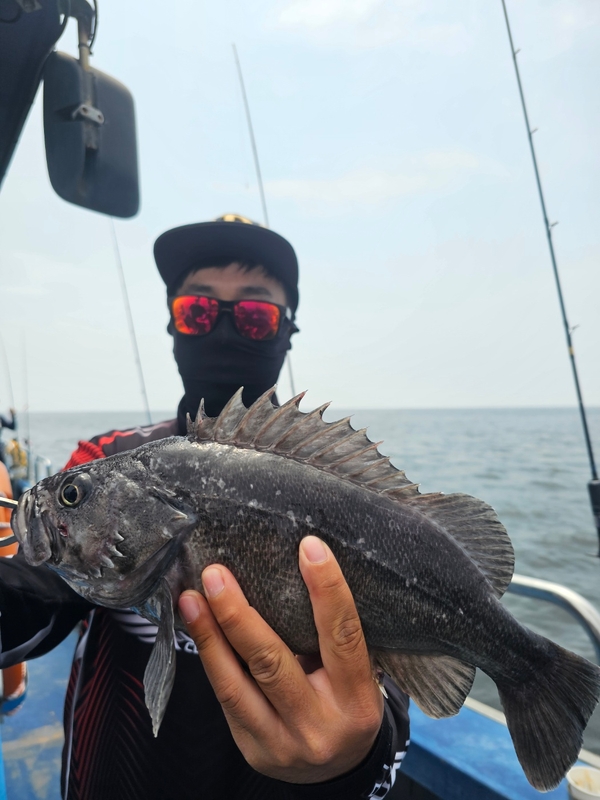 무창포 페가수스호의 조황일지 이미지 - 9