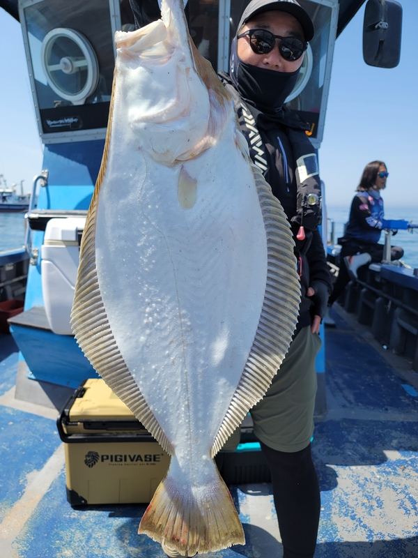 무창포 페가수스호의 조황일지 이미지 - 3