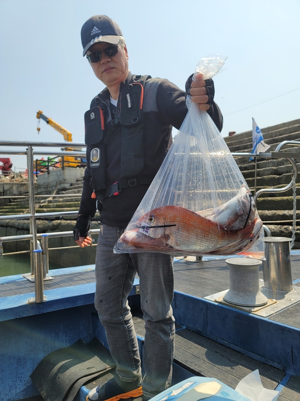 무창포 페가수스호의 조황일지 이미지 - 4