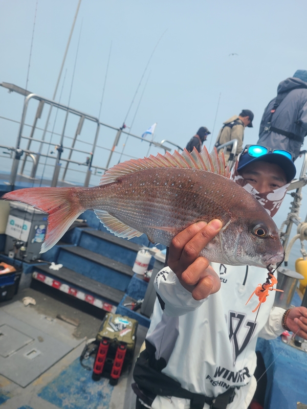 무창포 페가수스호의 조황일지 이미지 - 2