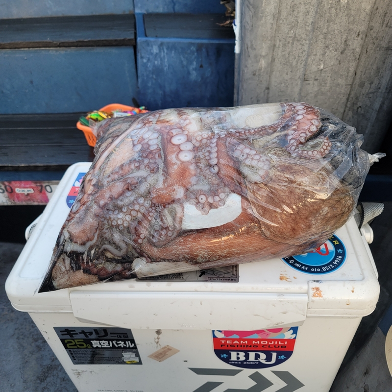 무창포 페가수스호의 조황일지 이미지 - 1