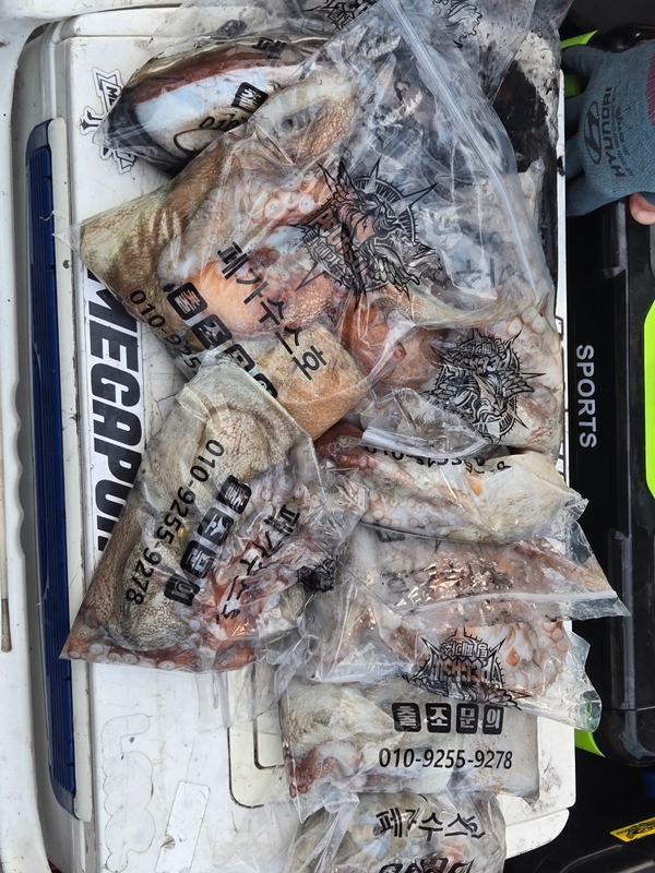 무창포 페가수스호의 조황일지 이미지 - 2