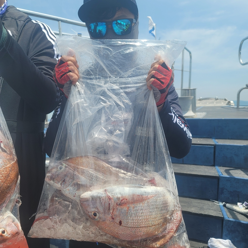 무창포 페가수스호의 조황일지 이미지 - 15