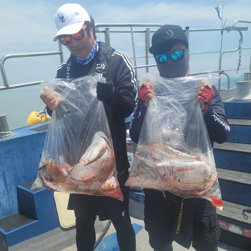 무창포 페가수스호의 조황일지 이미지 - 14