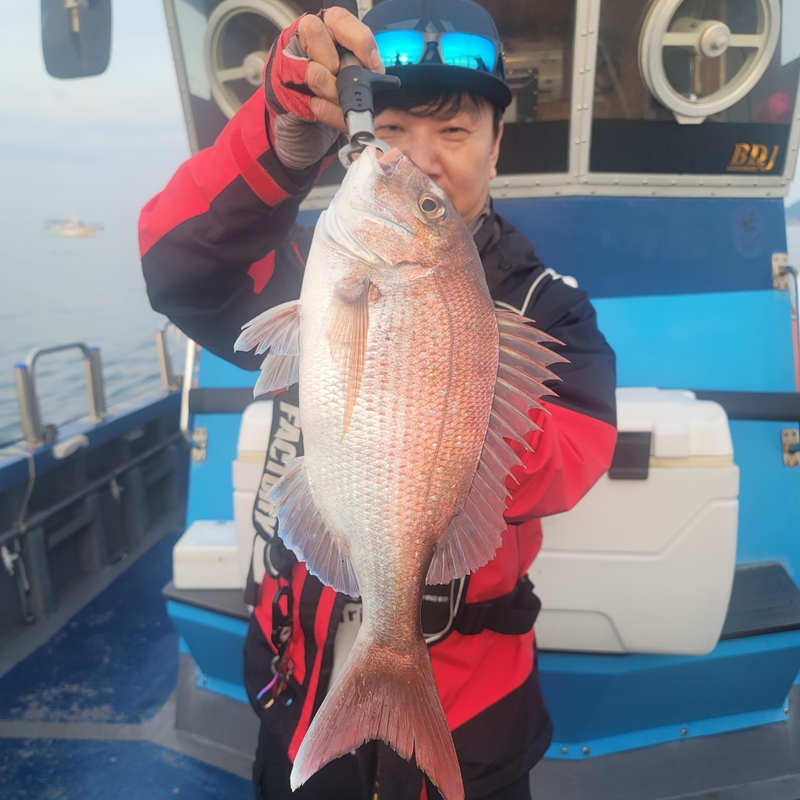 무창포 페가수스호의 조황일지 이미지 - 2