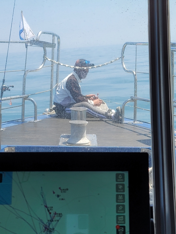 무창포 페가수스호의 조황일지 이미지 - 3