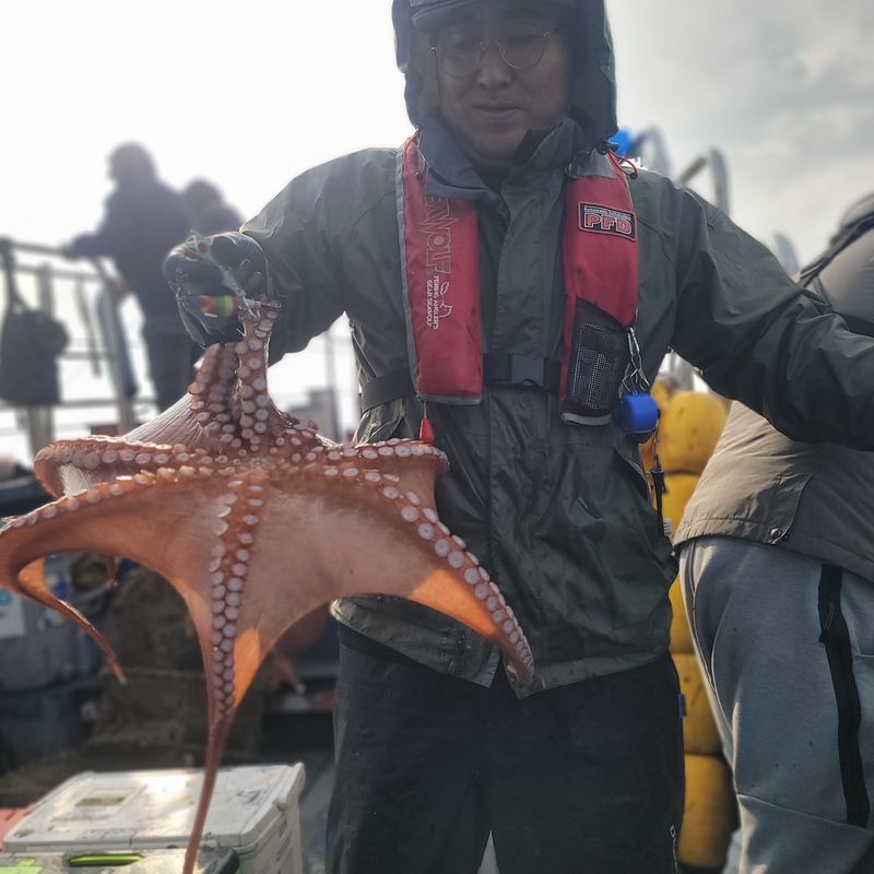 무창포 페가수스호의 조황일지 이미지 - 9