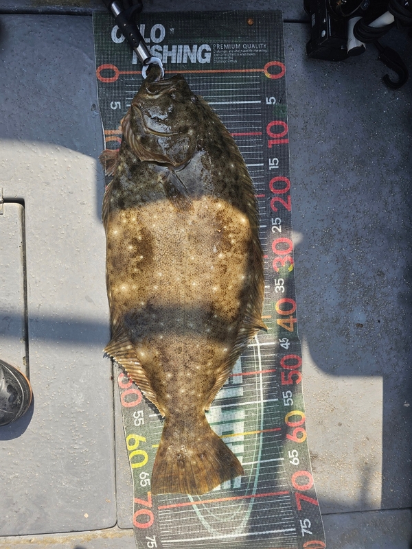 무창포 페가수스호의 조황일지 이미지 - 14