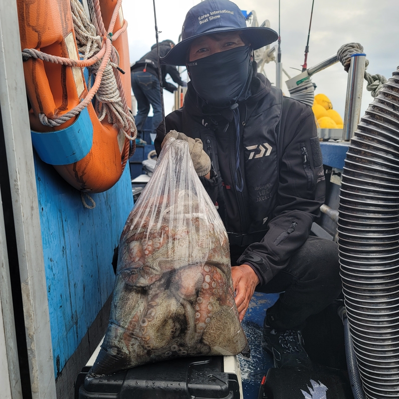 무창포 페가수스호의 조황일지 이미지 - 17