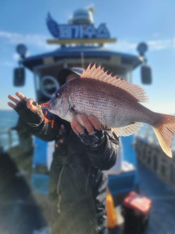 무창포 페가수스호의 조황일지 이미지 - 10