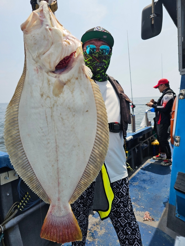 무창포 페가수스호의 조황일지 이미지 - 5