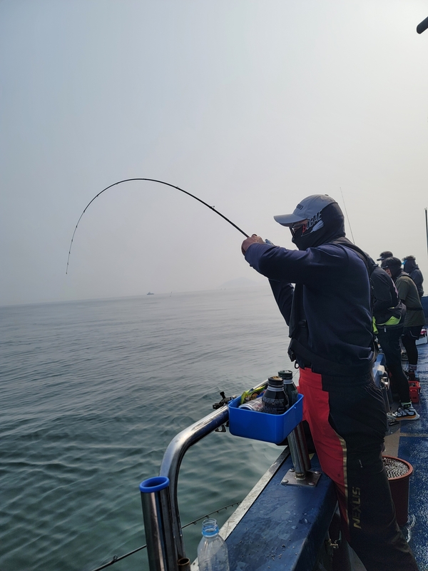 무창포 페가수스호의 조황일지 이미지 - 6