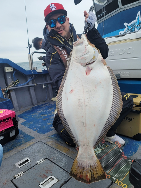 무창포 페가수스호의 조황일지 이미지 - 7