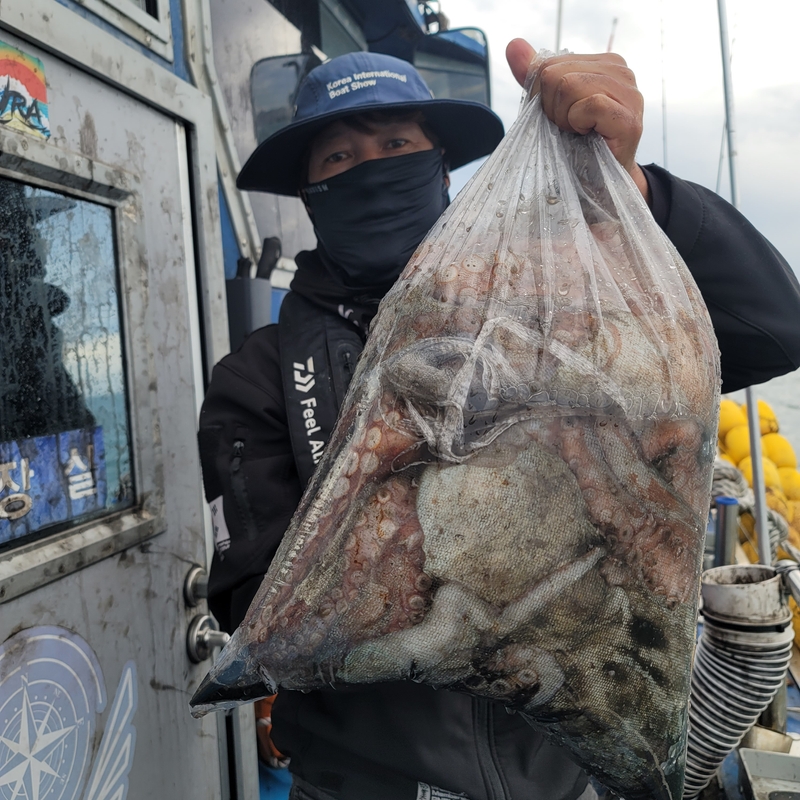 무창포 페가수스호의 조황일지 이미지 - 18
