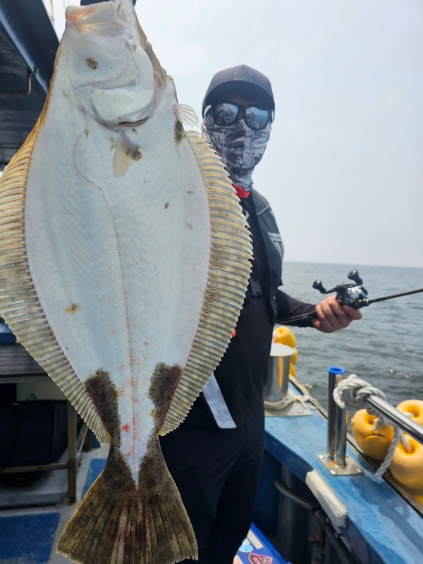 무창포 페가수스호의 조황일지 이미지 - 10