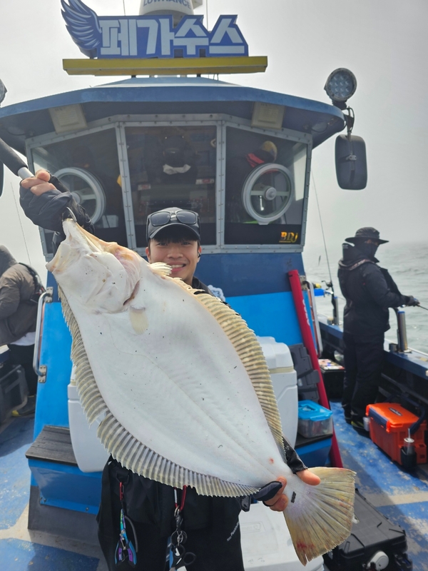 해당 선사를 대표하는 이미지