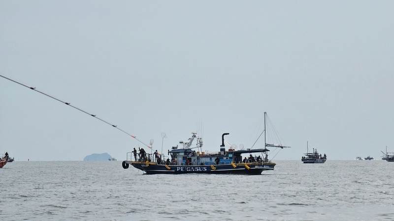 해당 선사를 대표하는 이미지