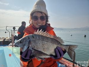 완도다정호 조황입니다 선상낚시로 잡은 물고기 조황