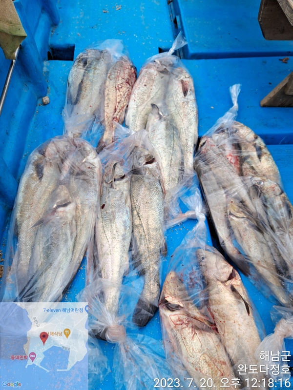 해당 선사를 대표하는 이미지