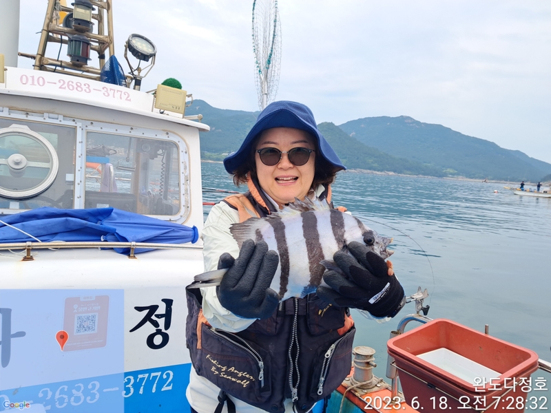 해당 선사를 대표하는 이미지