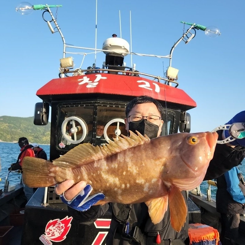 해당 선사를 대표하는 이미지