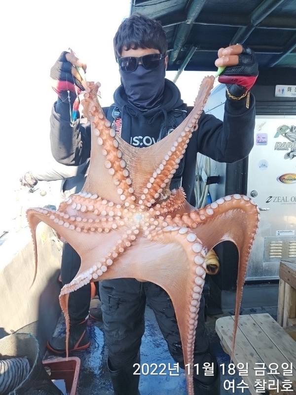 해당 선사를 대표하는 이미지