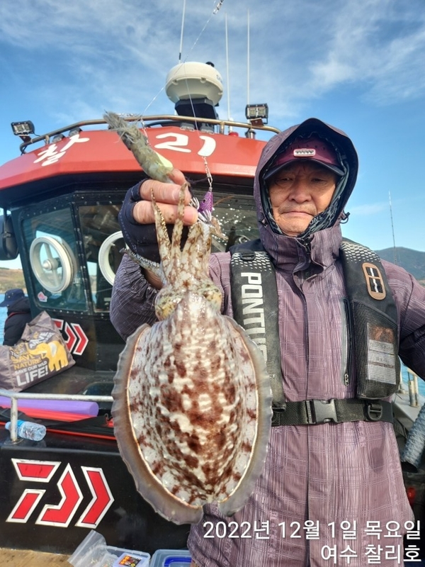 해당 선사를 대표하는 이미지