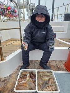 1월 26일 갑오징어 선상낚시로 잡은 물고기 조황