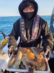 1월 31일 서귀포권 갑오징어  선상낚시로 잡은 물고기 조황