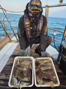 1월 18일 갑오징어  선상낚시로 잡은 물고기 조황