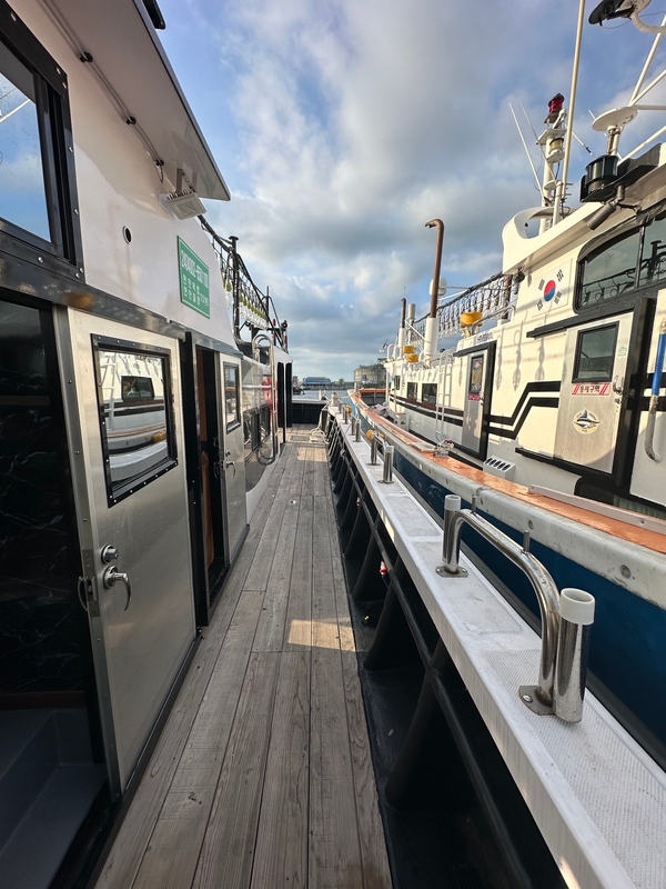 해당 선사를 대표하는 이미지