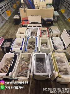 한치No.1히어로 대성공 입항조황입니다!! 선상낚시로 잡은 물고기 조황