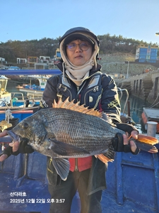 5짜 선상낚시로 잡은 물고기 조황