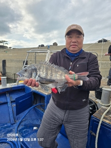 5짜2마리 선상낚시로 잡은 물고기 조황