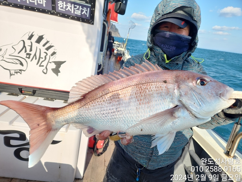 완도섬사랑호의 조황일지 이미지 - 3