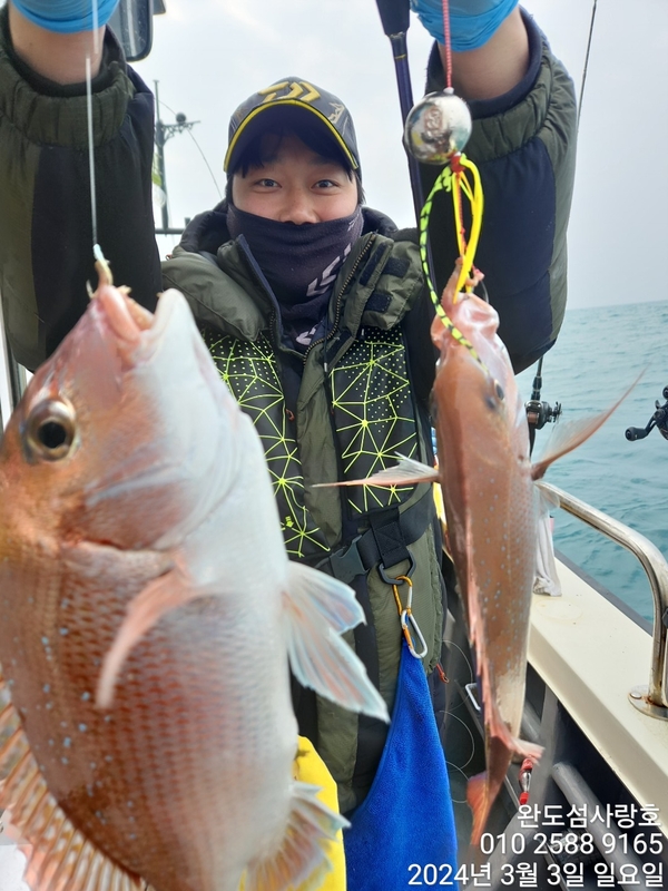 완도섬사랑호의 조황일지 이미지 - 4