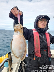 심해갑오징어 조황입니다  선상낚시로 잡은 물고기 조황