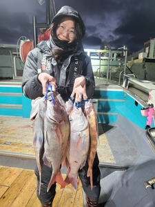 바람때문에 오랜만에 조황올립니다 선상낚시로 잡은 물고기 조황