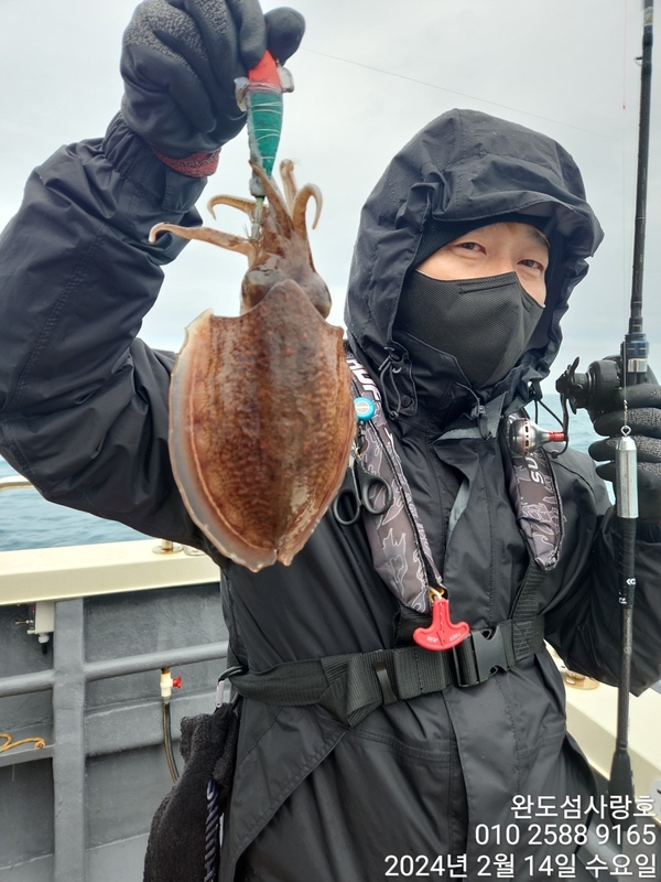 완도섬사랑호의 조황일지 이미지 - 5