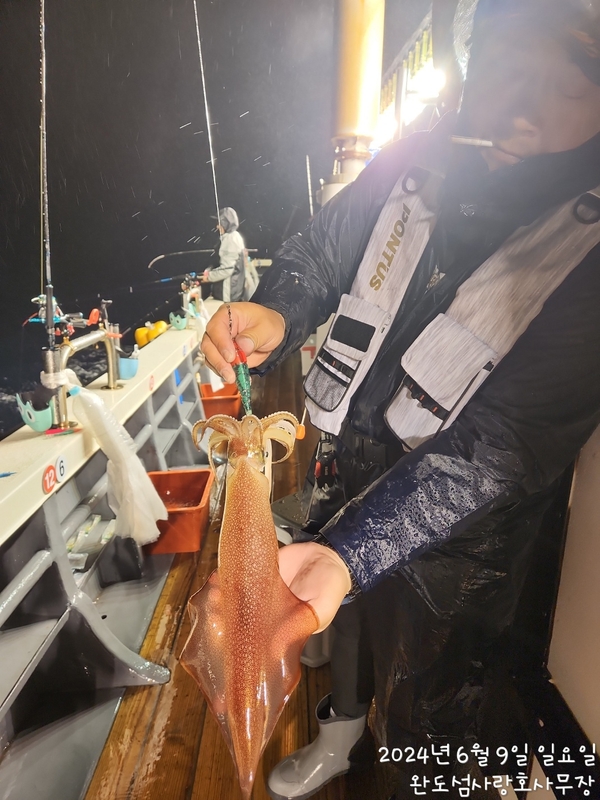 완도섬사랑호의 조황일지 이미지 - 4