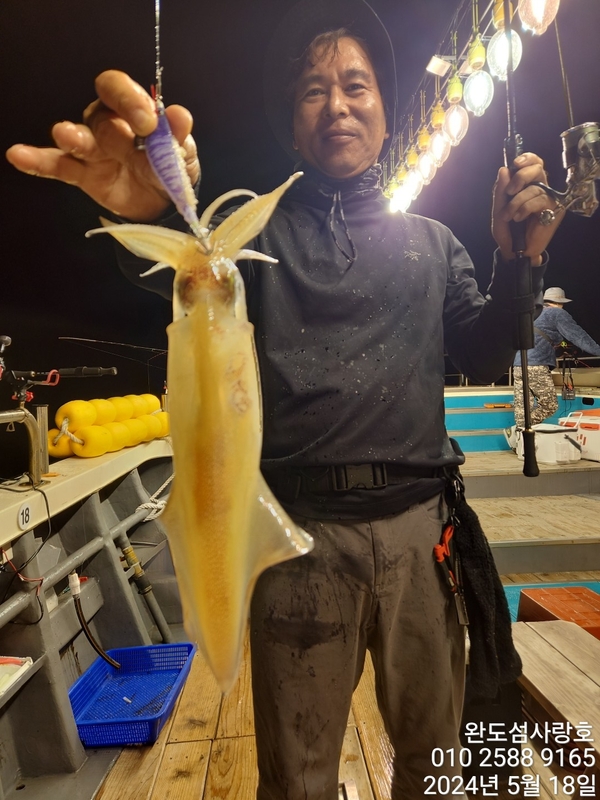 완도섬사랑호의 조황일지 이미지 - 3