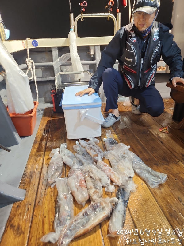 완도섬사랑호의 조황일지 이미지 - 9